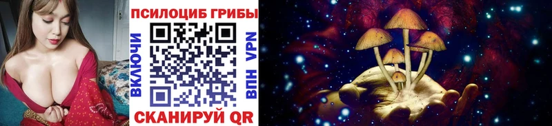 купить наркотик  Кириллов  Псилоцибиновые грибы мухоморы 